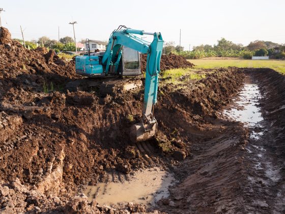 Tujuan, serta Contoh Reklamasi Lingkungan di Negara Lain