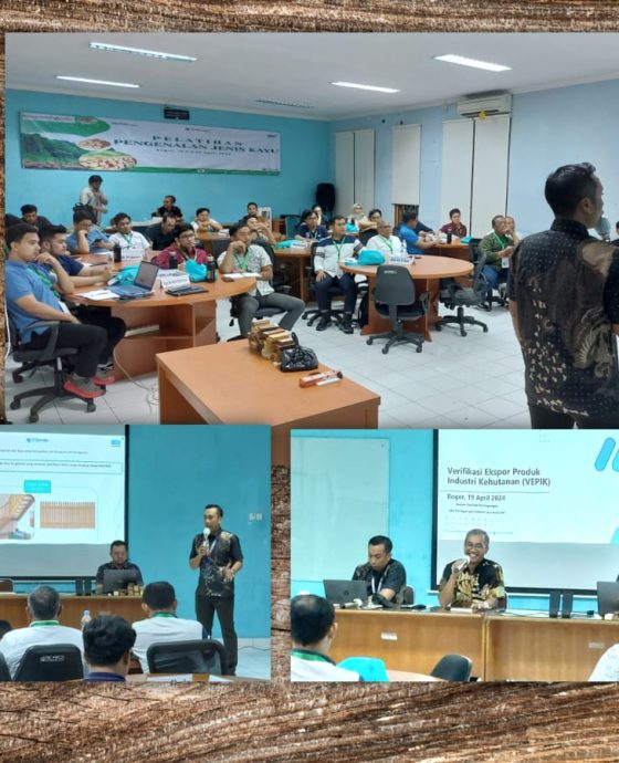 Inclass Pelatihan Pengenalan Jenis Kayu (Vepik), SDM LHK Bogor (5 Day)