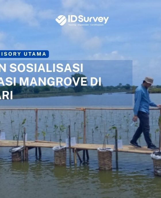 PT Sucofindo Advisory Utama Laksanakan Survei dan Sosialisasi Rehabilitasi Mangrove di Desa Sedari